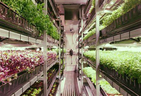 Vertical Farming Infrastructure