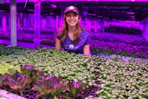 Success Stories of Vertical Farming Entrepreneurs