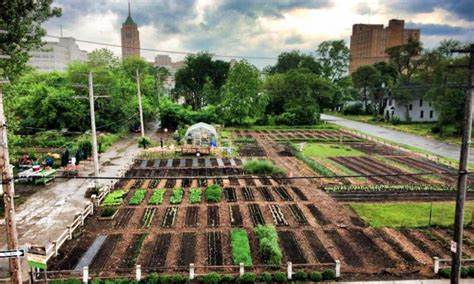 Teaching Agriculture in Urban Environments