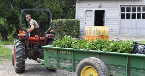 Vertical Farming and the Philosophy of Local Food Movements