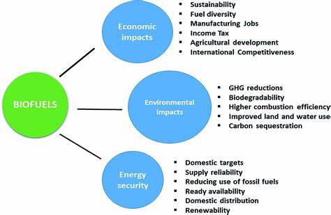 The Economics of Biofuel Manufacturing