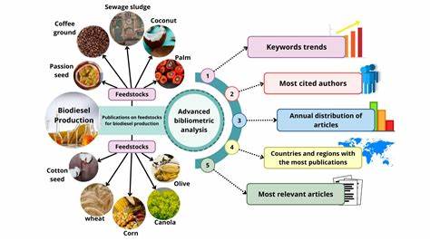 The Role of Feedstocks in Biofuel Production