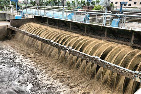 Innovations in Sludge Management from Wastewater Treatment