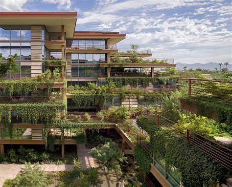 Vertical Gardens in Arid Environments