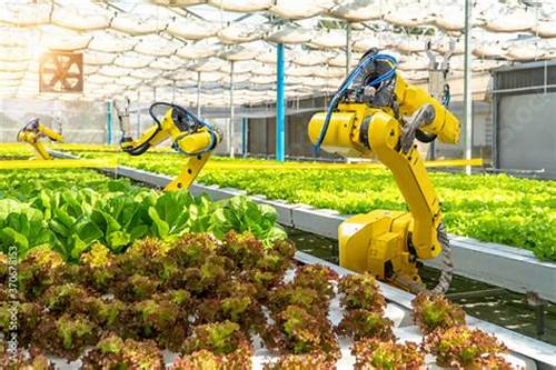 High-Tech Innovations in Vertical Farming