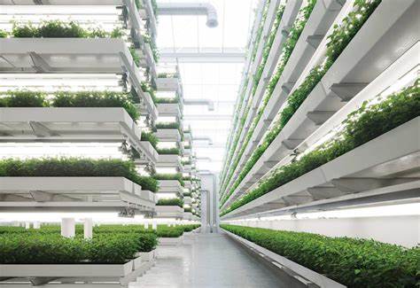 Notable Vertical Farming Projects Globally