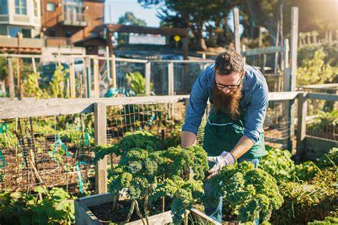 Teaching Agriculture in Urban Environments