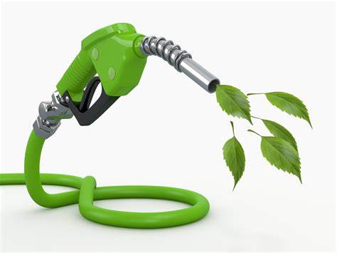 Sustainable Practices in Biofuel Production