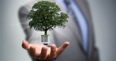 How businesses can turn sustainability into a competitive advantage