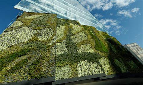 The Future of Vertical Gardens