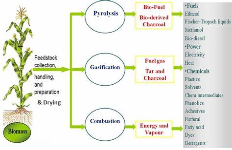 Conversion Technologies: Turning Biomass into Biofuels