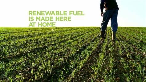 Benefits of Renewable Fuel Standards