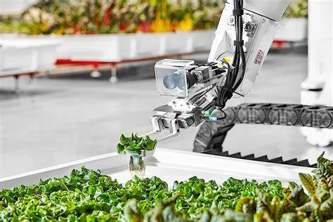 Automation in Vertical Farms