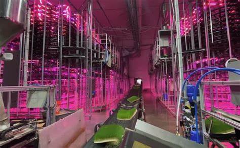 Vertical Farms in Industrial and Retail Spaces