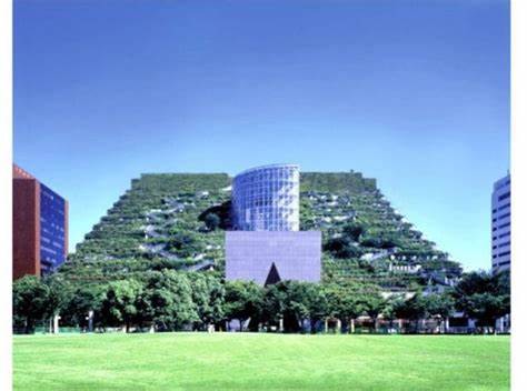 The Role of Vertical Gardens in Sustainable Urban Development