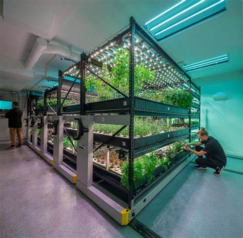 What Is Vertical Farming?