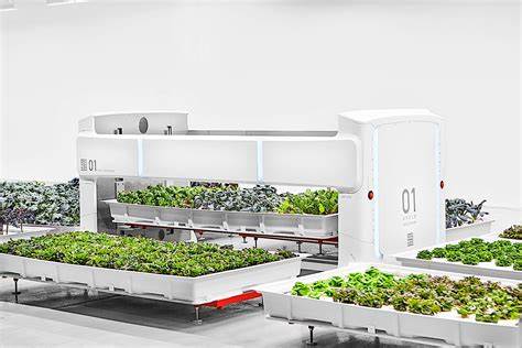 Automation in Vertical Farms