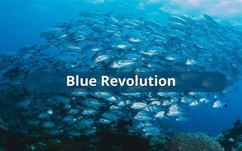 Investing in the Blue Revolution: Opportunities and Risks