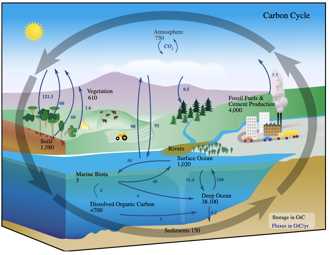 Reducing Carbon Emissions with Ocean Energy