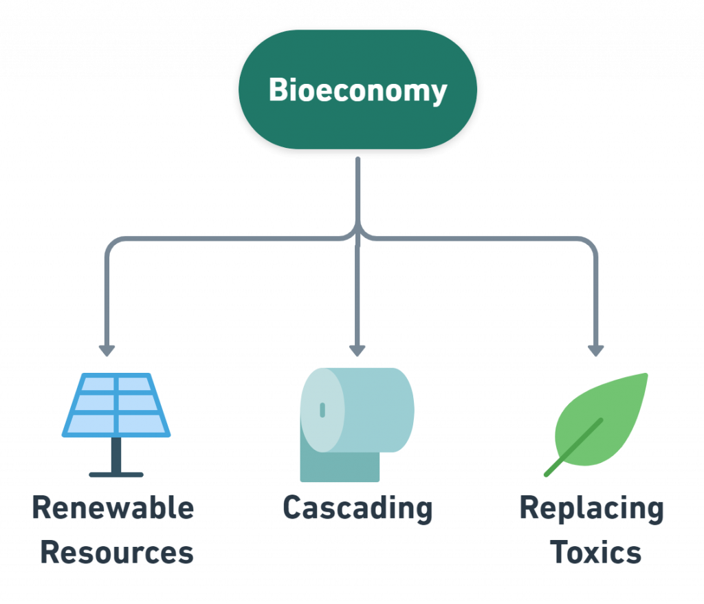 Biofuels and the Circular Economy: A Leadership Perspective