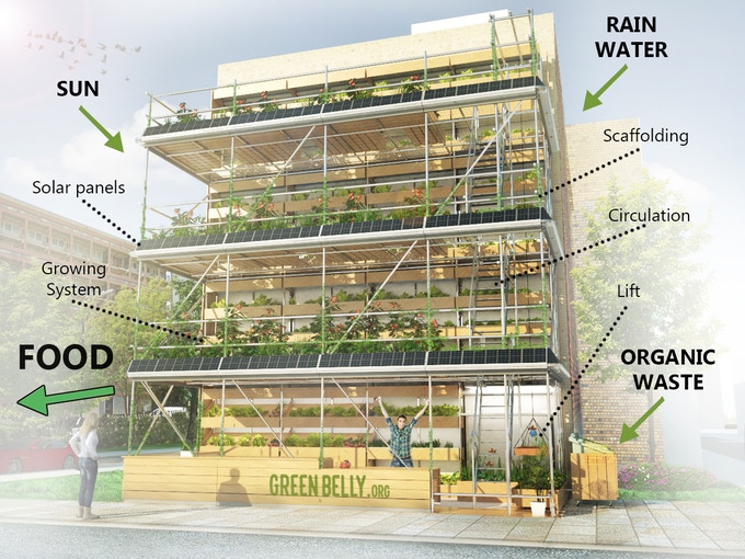 Vertical Farms: A Catalyst for Sustainable Urban Planning