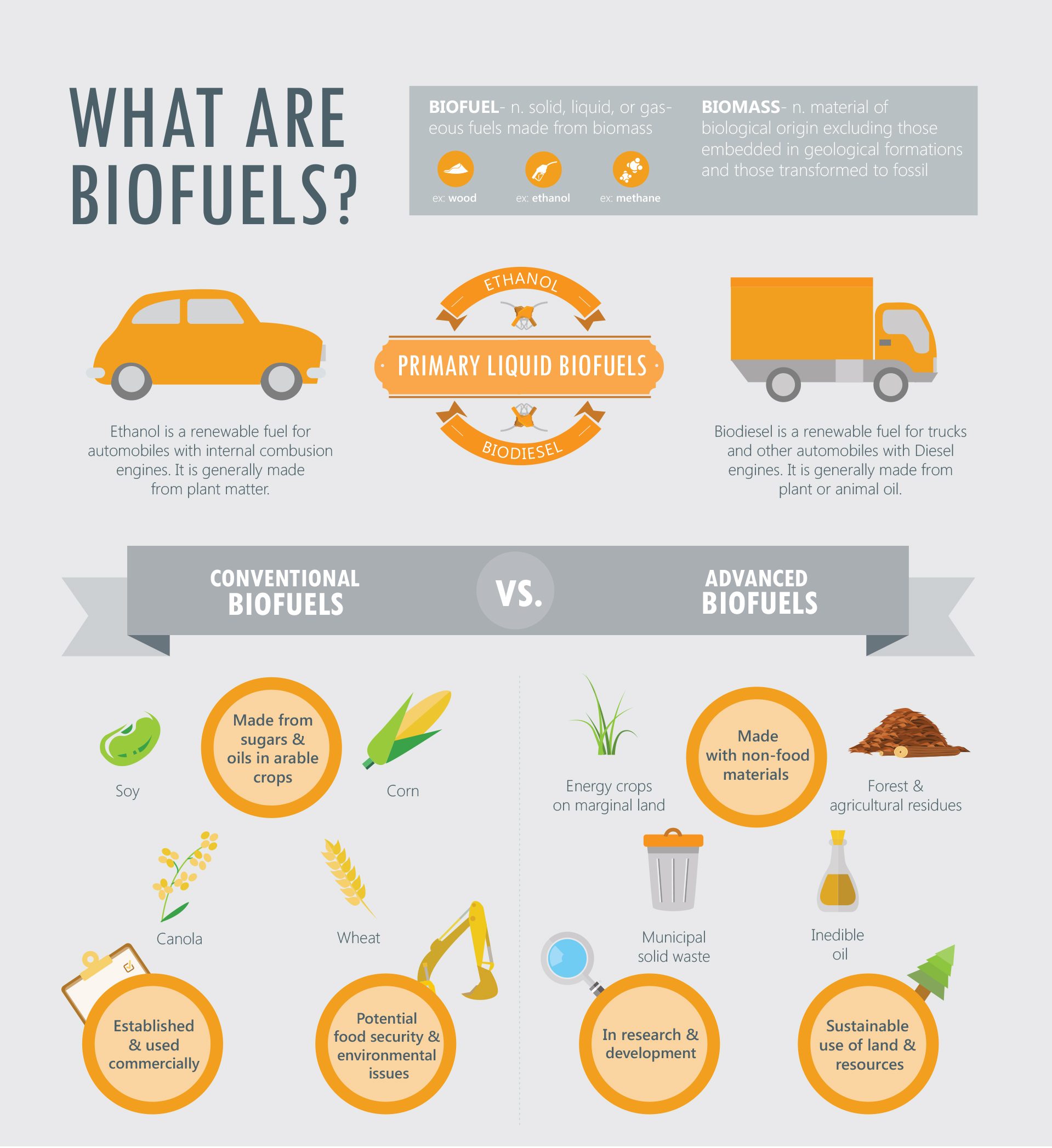 What Are Biofuels and How Do They Work?