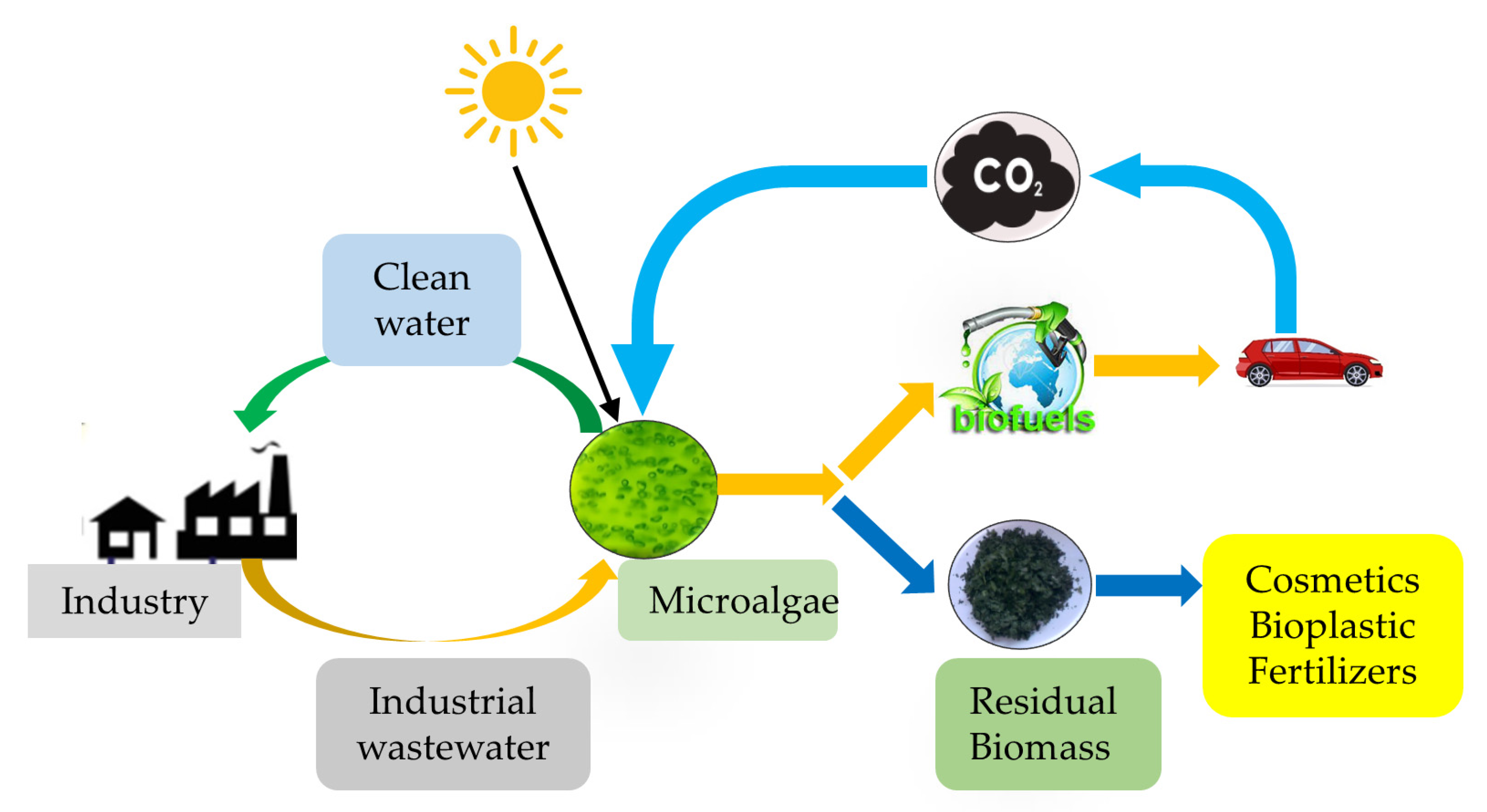 The Importance of Biofuels in a Sustainable Future