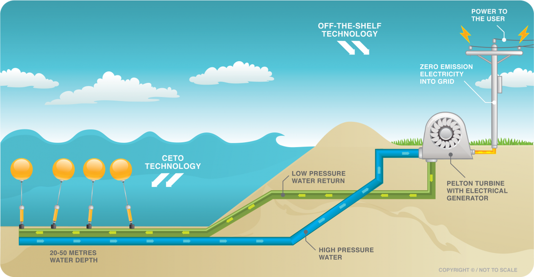 What is Wave and Tidal Energy?