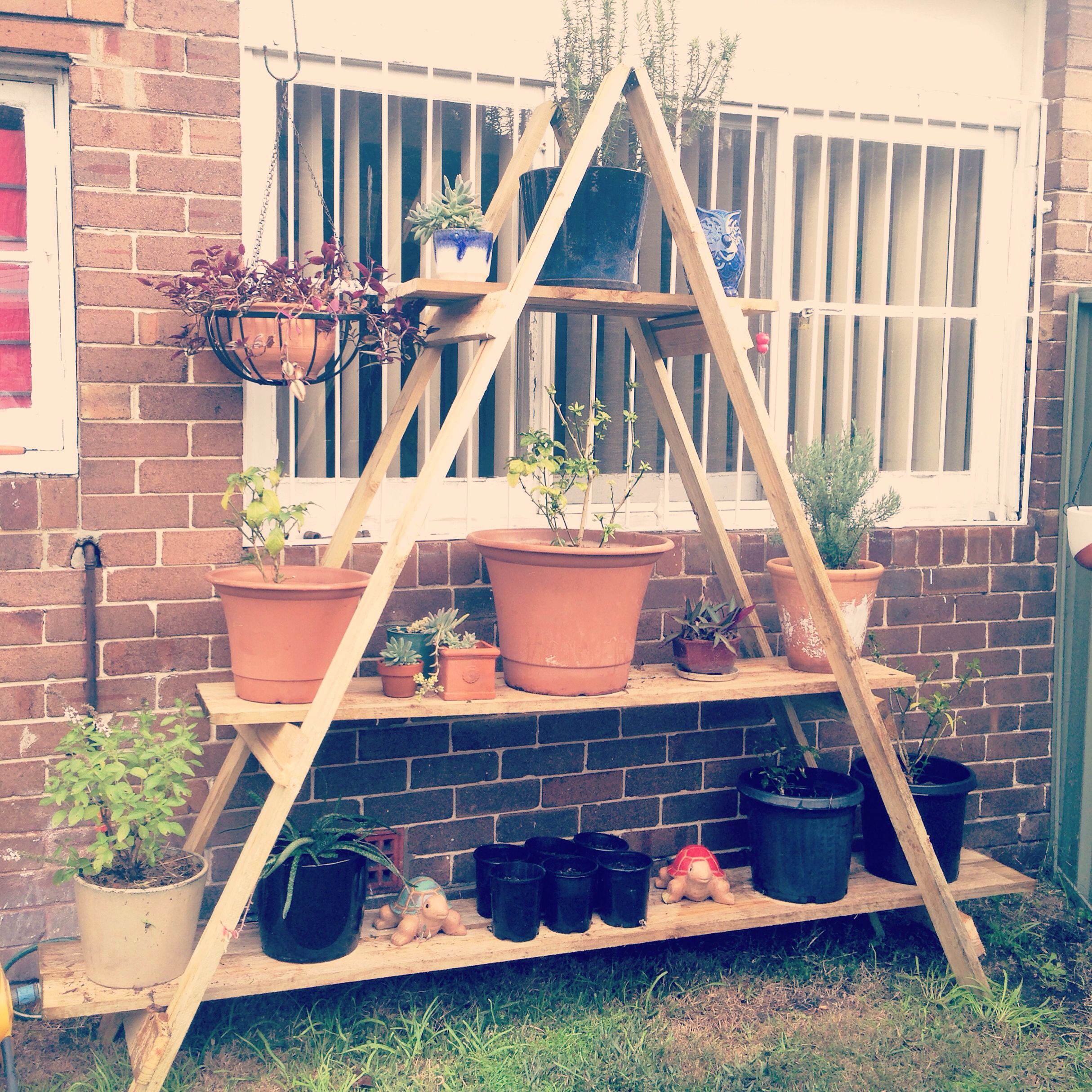 Building a Vertical Garden Frame