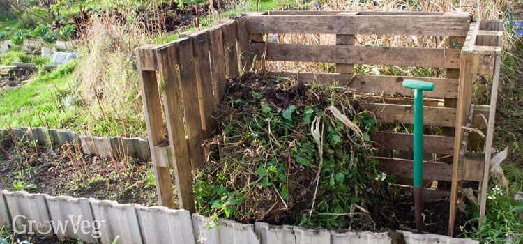 Reducing Carbon Footprint with Vertical Gardens