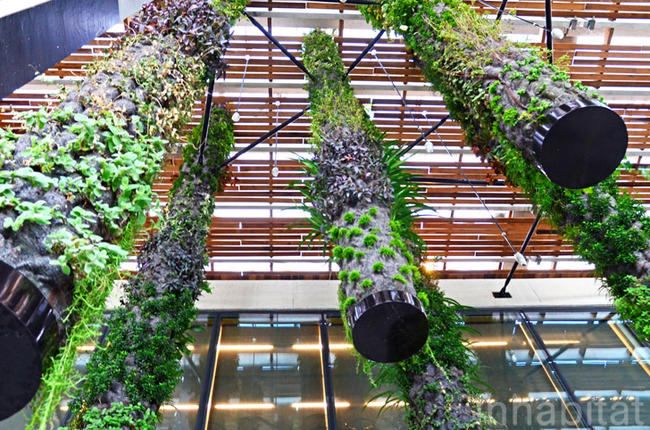 Notable Vertical Garden Installations Worldwide