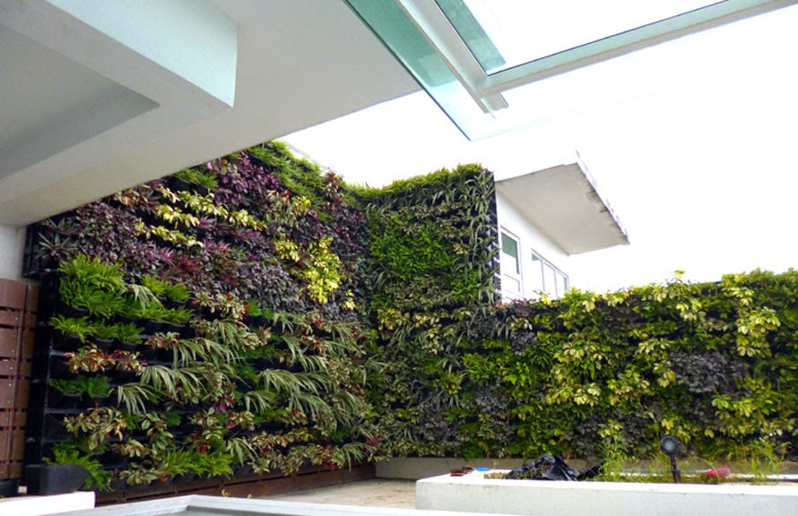 Vertical Gardens in Commercial Settings