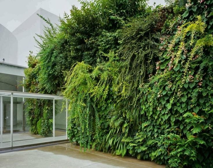 Creating Habitat with Vertical Greenery