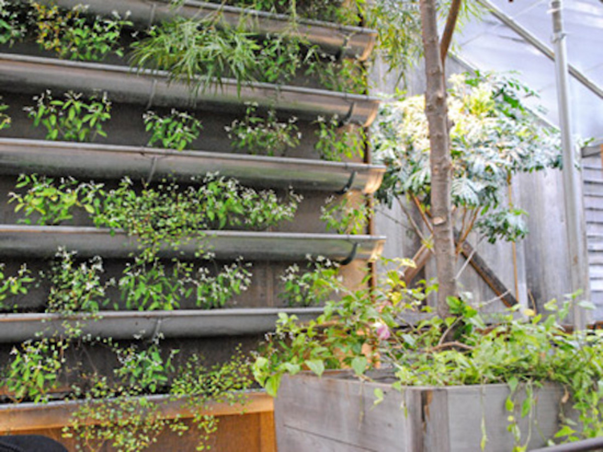 Seasonal Care for Vertical Gardens