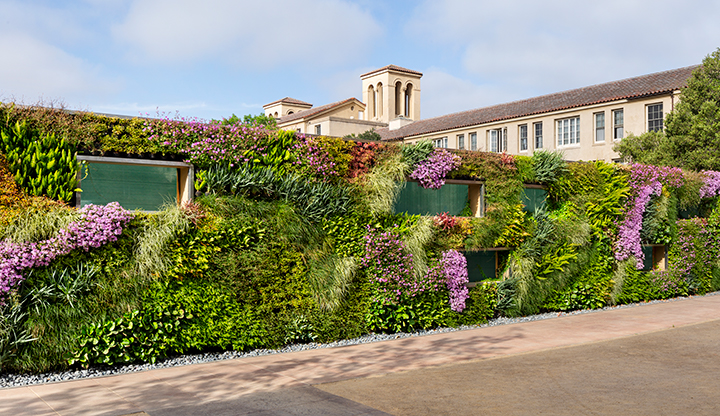 Vertical Gardens in Schools and Universities