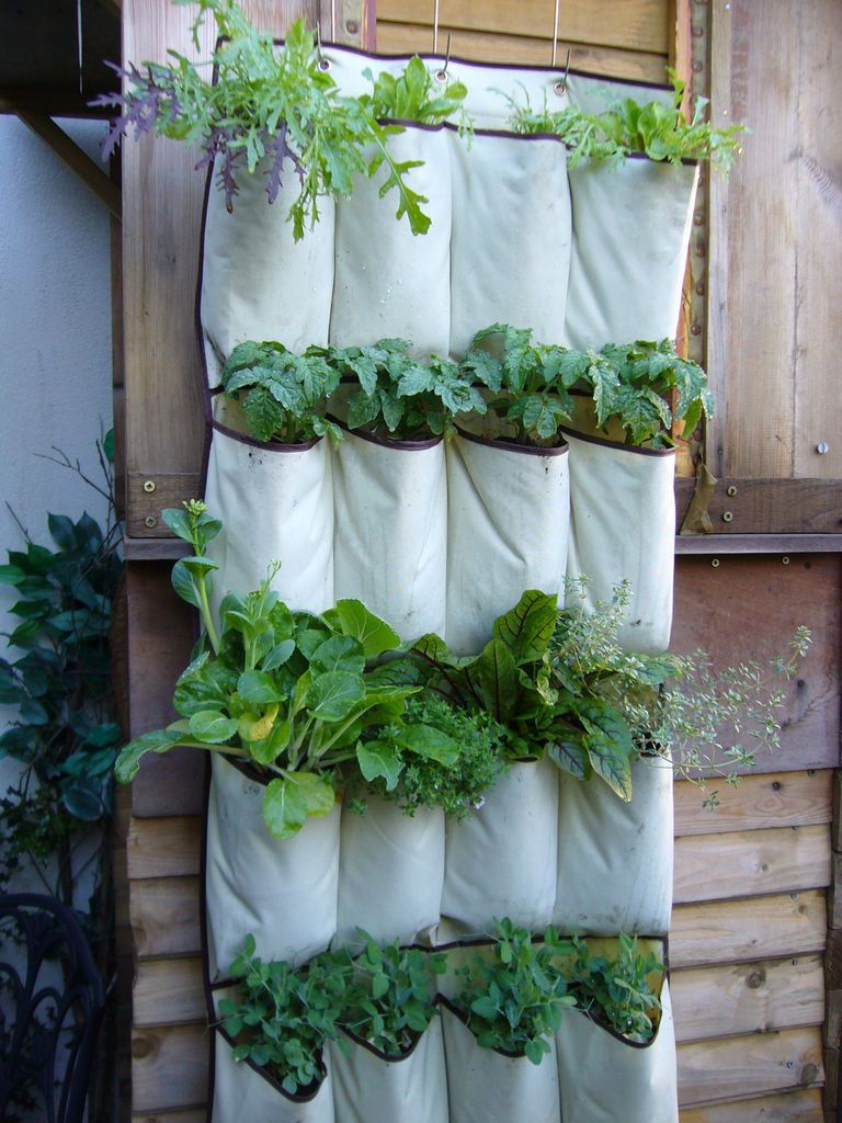 Upcycled Materials for DIY Vertical Gardens