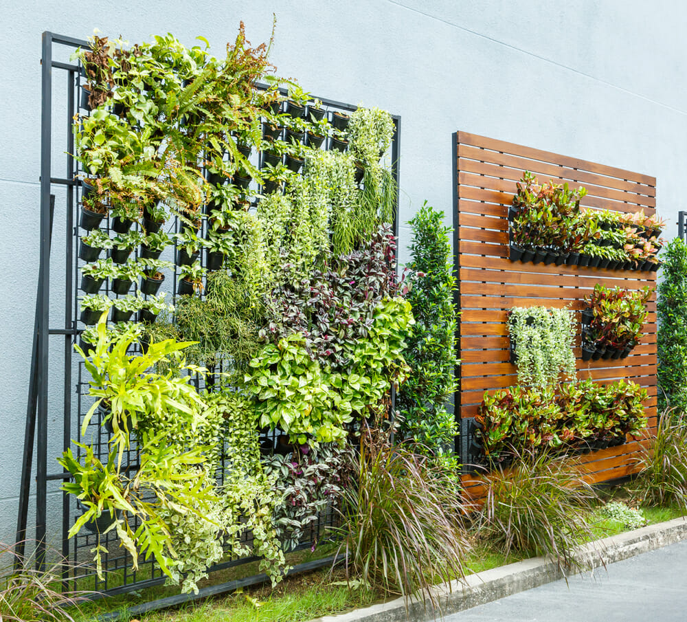 Vertical Gardening for Climate Change Mitigation