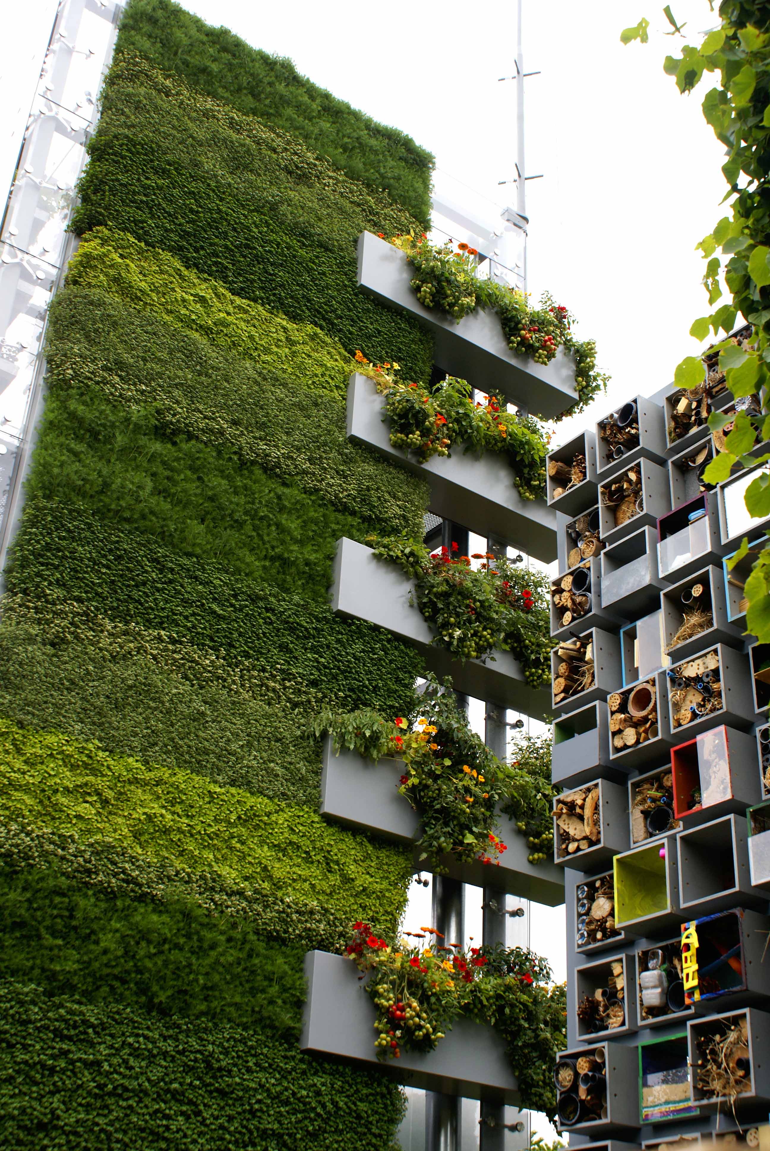 Vertical Gardens: Bridging the Gap Between Nature and Architecture