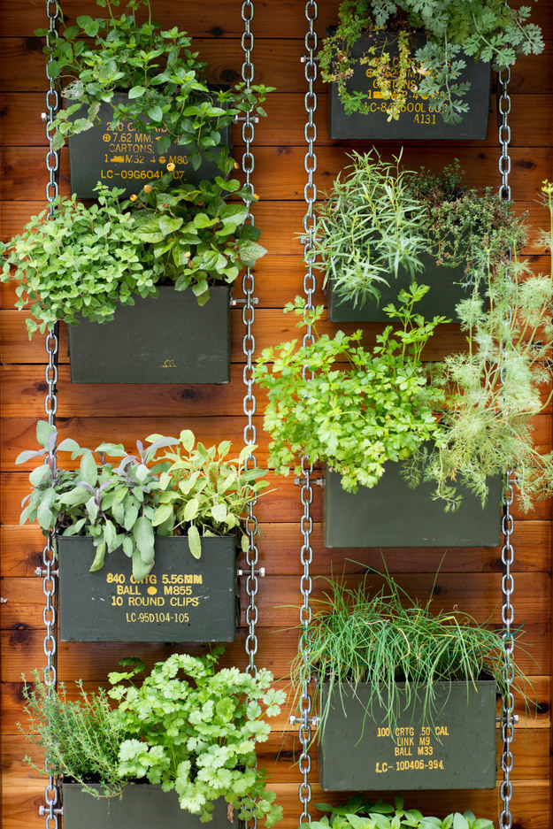 Vertical Gardens: From Niche Trend to Mainstream Phenomenon