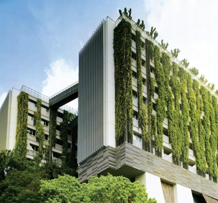 Vertical Gardens and Green Building Certification