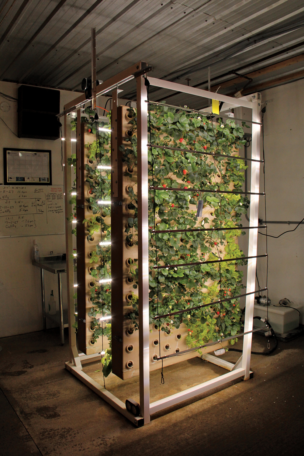 Types of Vertical Farming Systems