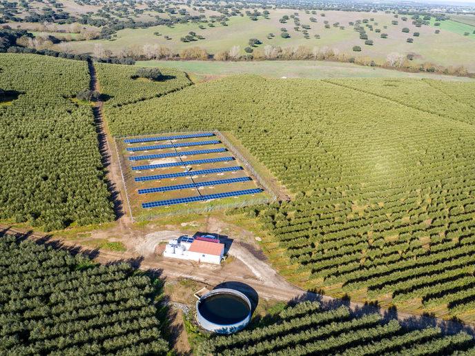 Water and Energy Efficiency in Vertical Farms