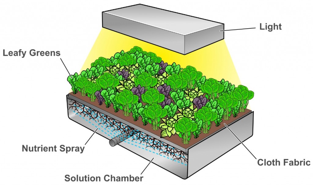 Vertical Farming Business Models