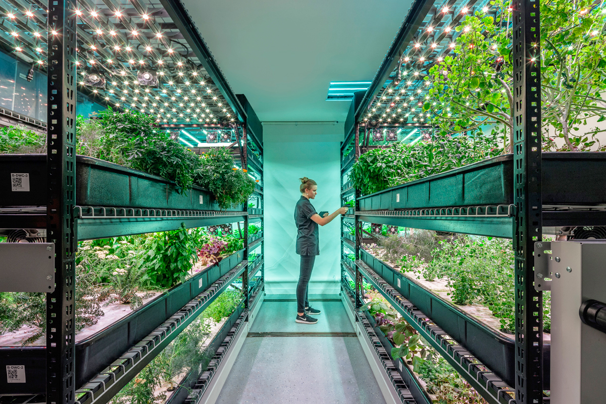 Success Stories of Vertical Farming Entrepreneurs