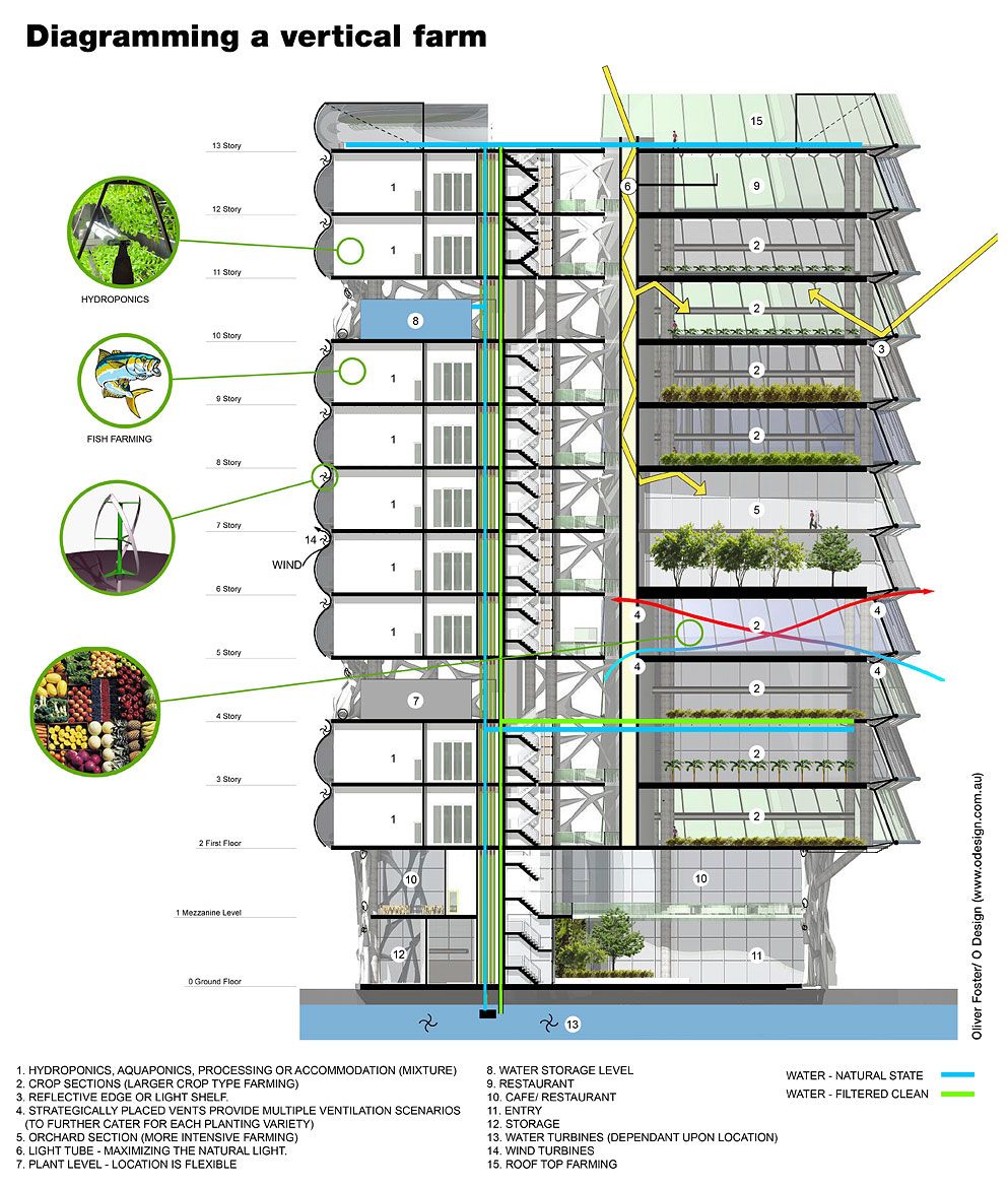 Vertical Farming: A Blueprint for Greener, Healthier Cities