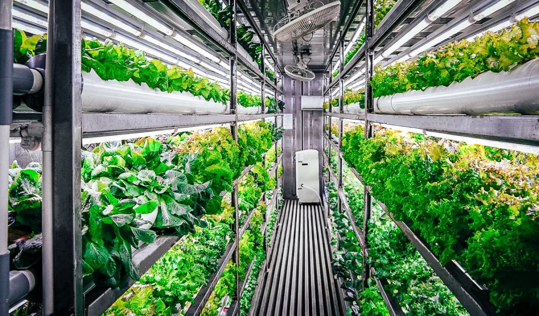 Vertical Farming and the Philosophy of Local Food Movements