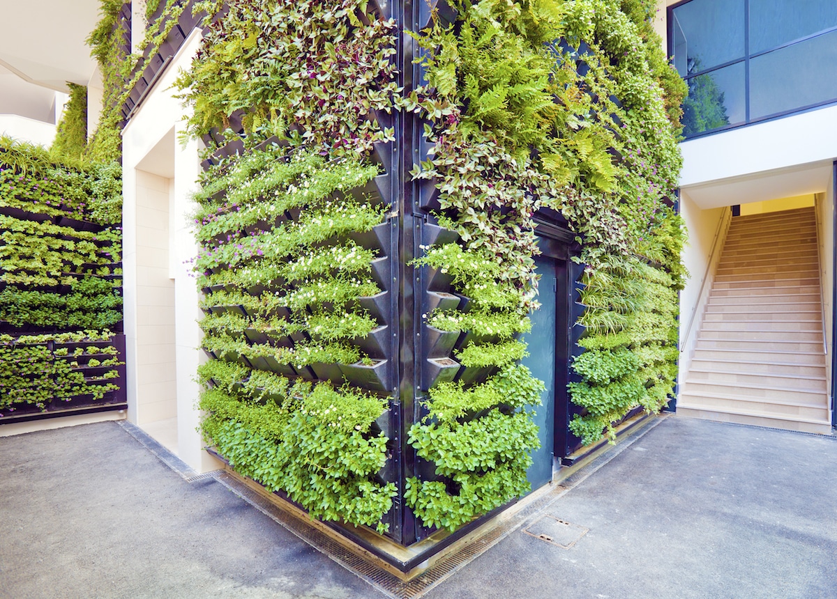 Vertical Gardens and Green Building Certification