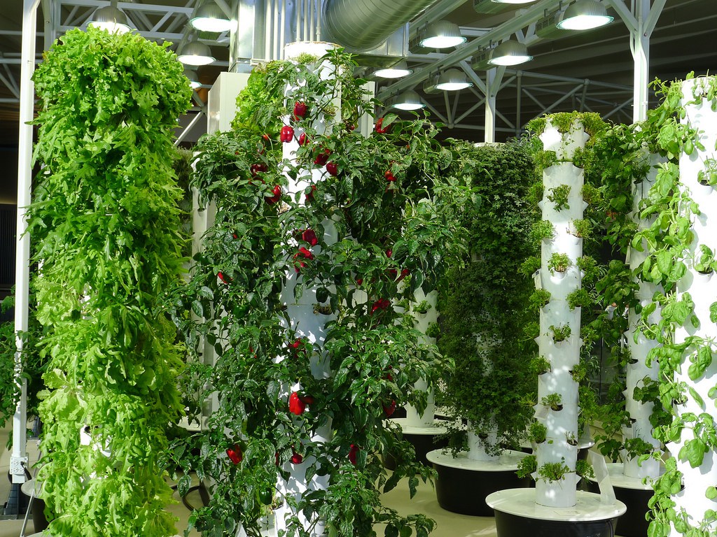 The Future of Vertical Gardens: What Lies Ahead