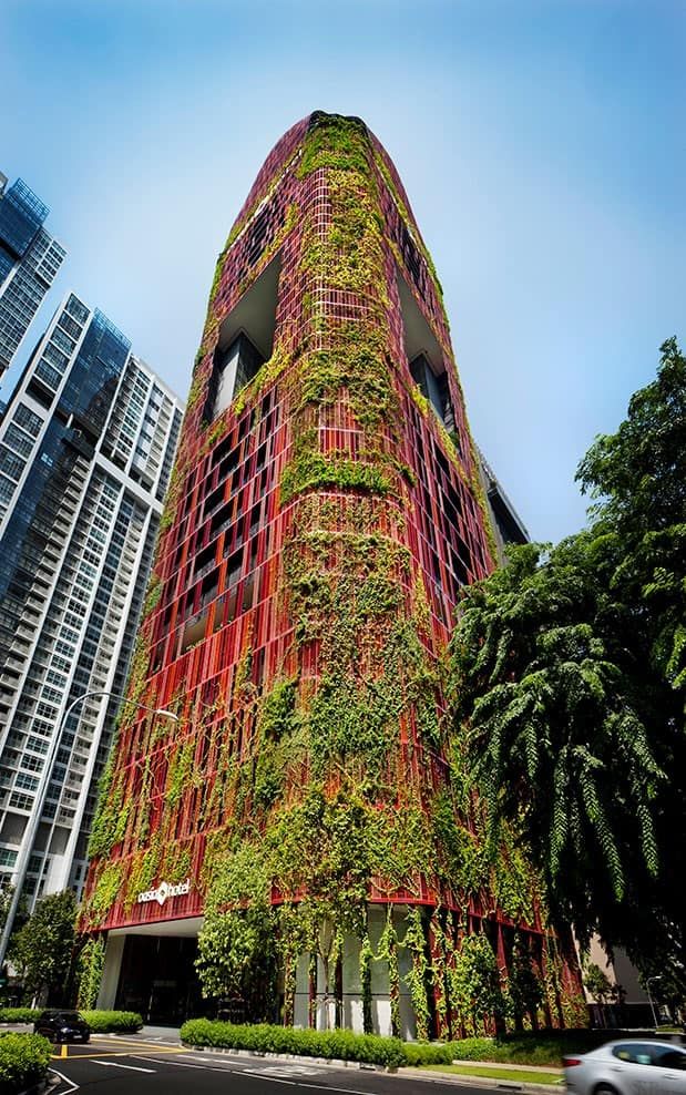 Vertical Gardens and Community Engagement: Building Green Neighborhoods