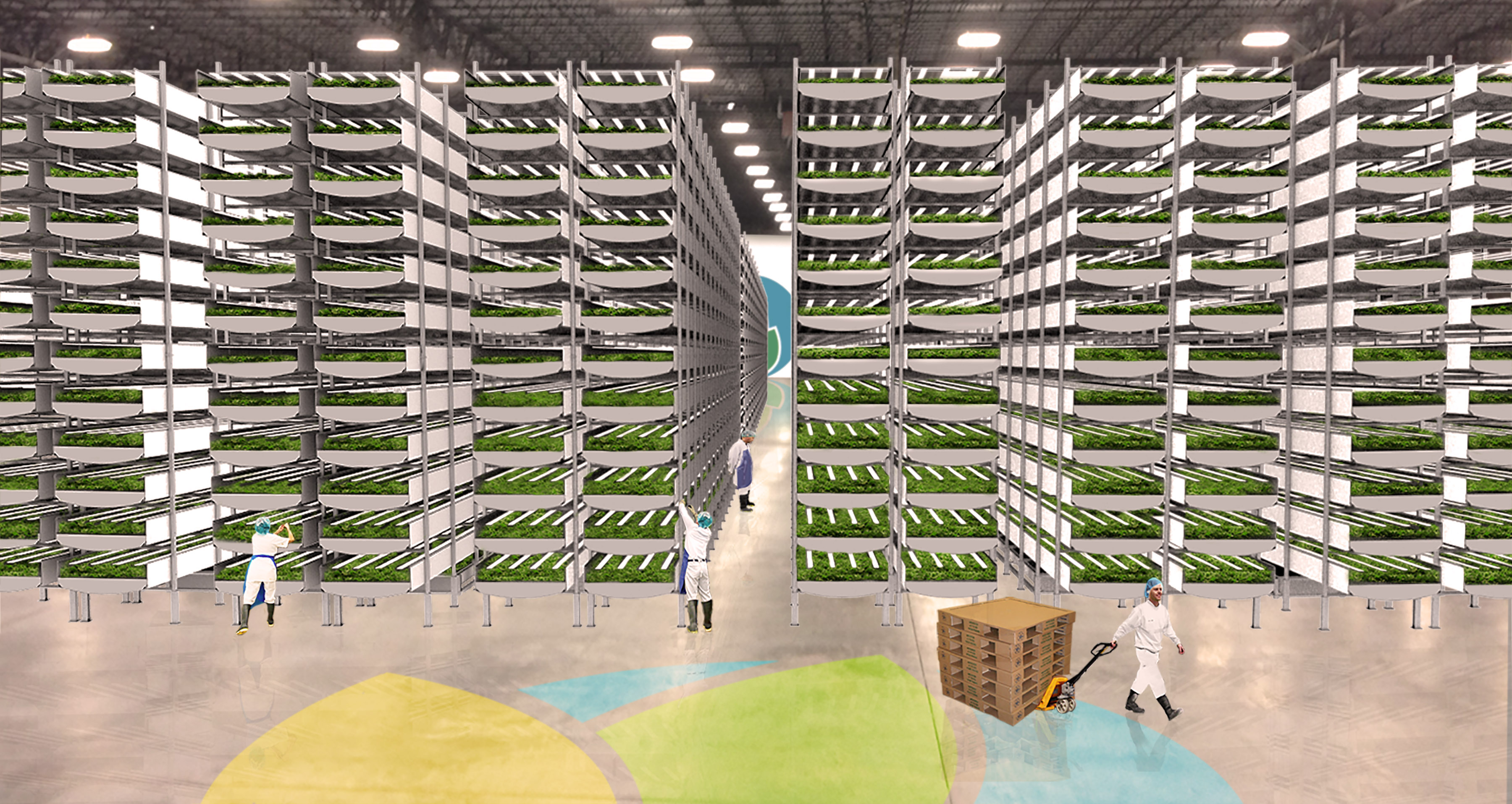 Vertical Farming and Food Security